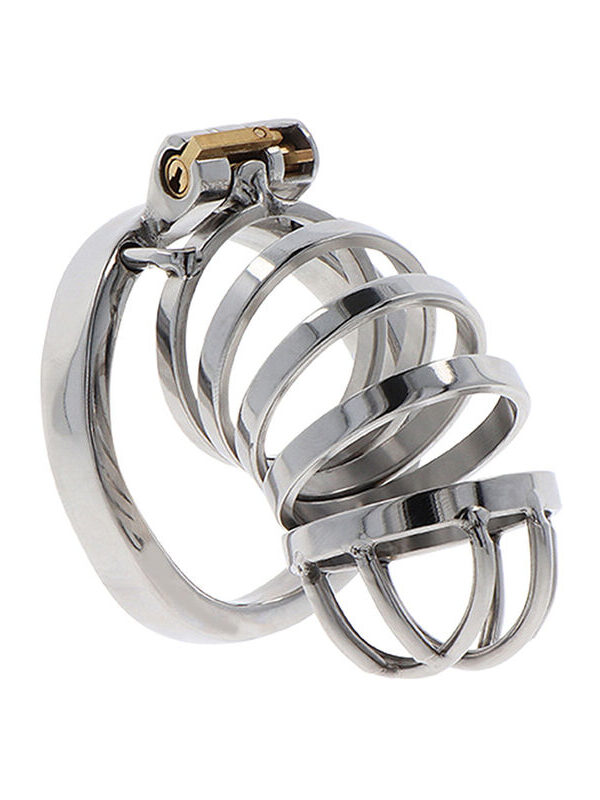 Hidden Desire - Extreme Chastity metallist peenisepuur