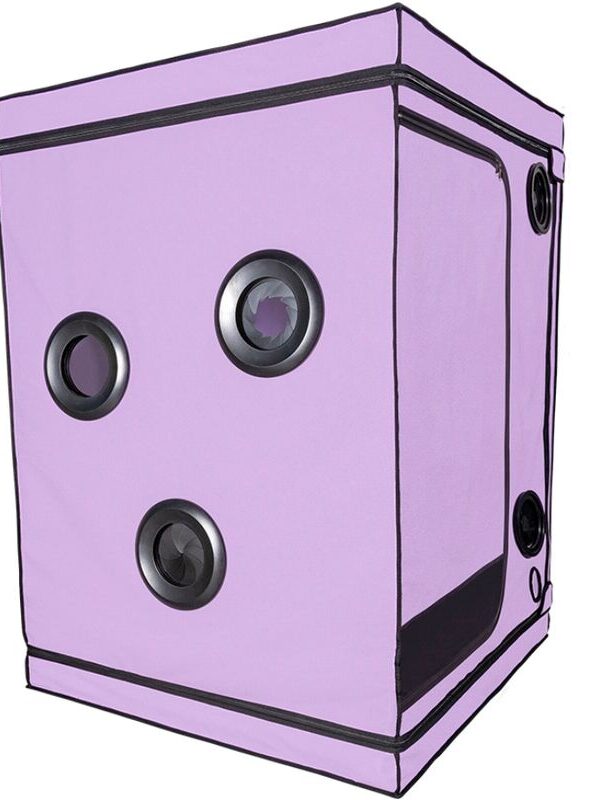 Secret Dome - Kink Club Cabin Scandale lilla