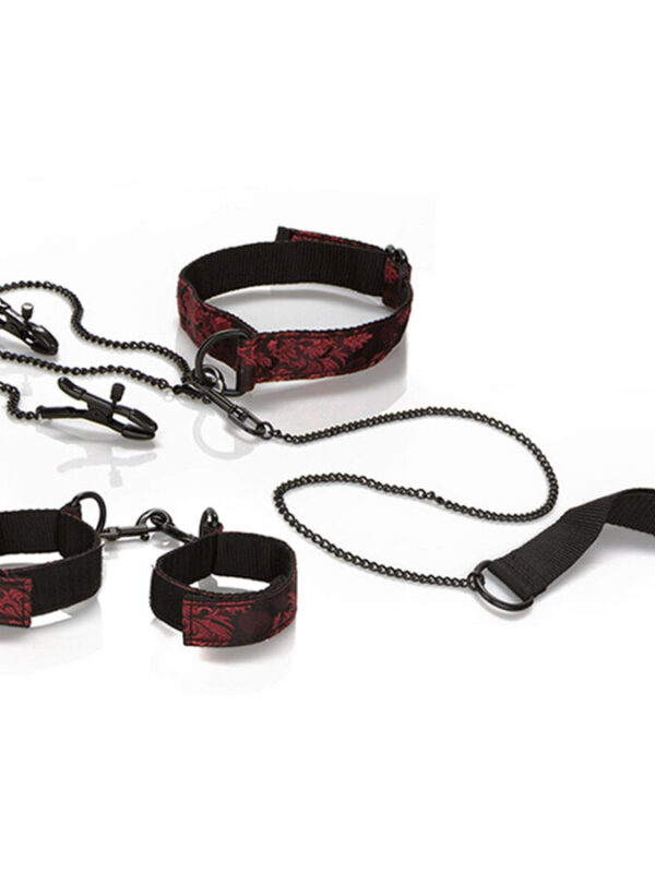 CalExotics - Scandal alistumise komplekt