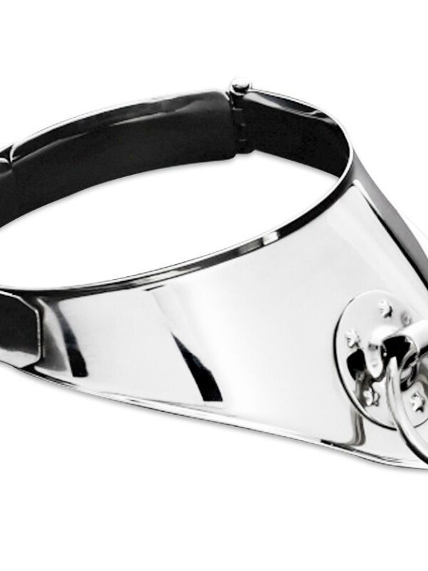 Metal Hard - Fikseeriv kaelarihm rõnga ja tabalukuga 12.5 cm