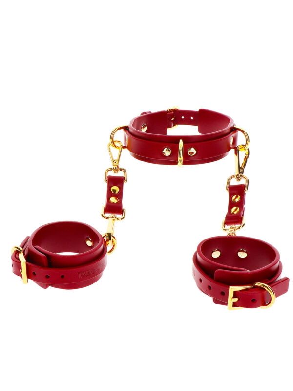 Taboom – D-Ring Collar And Wrist Cuffs käerauad