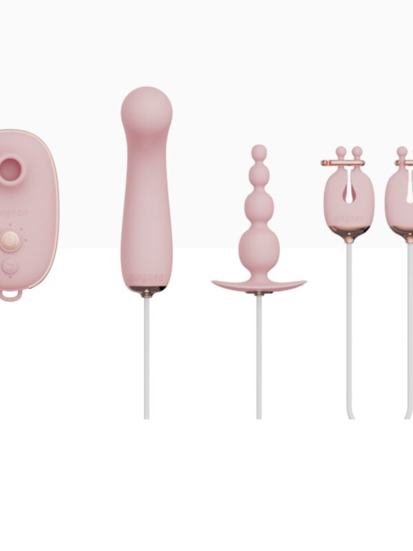 Qingnan – Quartet Set Pink BDSM-komplekt