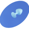 13072_8.gif