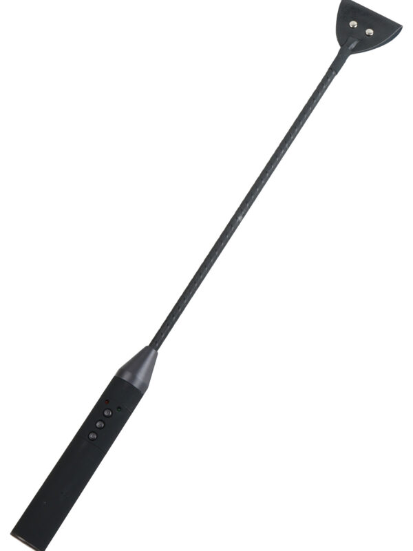 Hidden Desire – Extreme Electro Riding Crop elektrostimulatsiooniseade