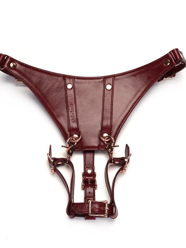 Liebe Seele – Wine Red Deluxe Forced Orgasm Harness Belt sidumisvahend