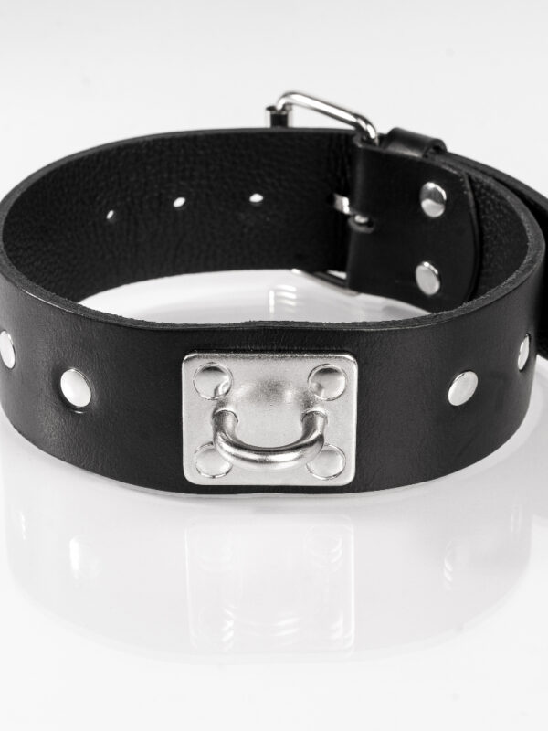 Whips – Primal Bond Single Stud Collar Black kaelarihm