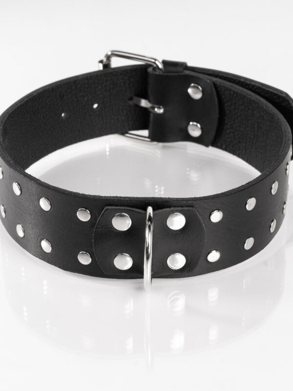 Whips – Primal Bond Double Stud Collar Black kaelarihm
