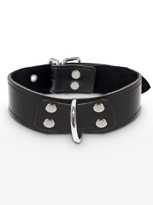 Taboom – Elegant D-Ring Collar Black kaelarihm