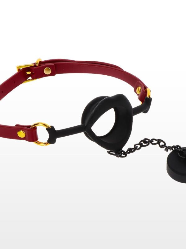Taboom – Kinky Gag With Plug suupall