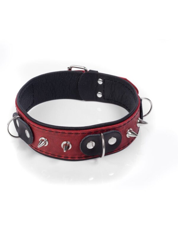 Whips – Crazy Horse Collar kaelarihm