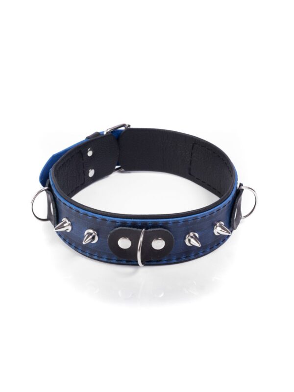 Whips – Crazy Horse Collar kaelarihm