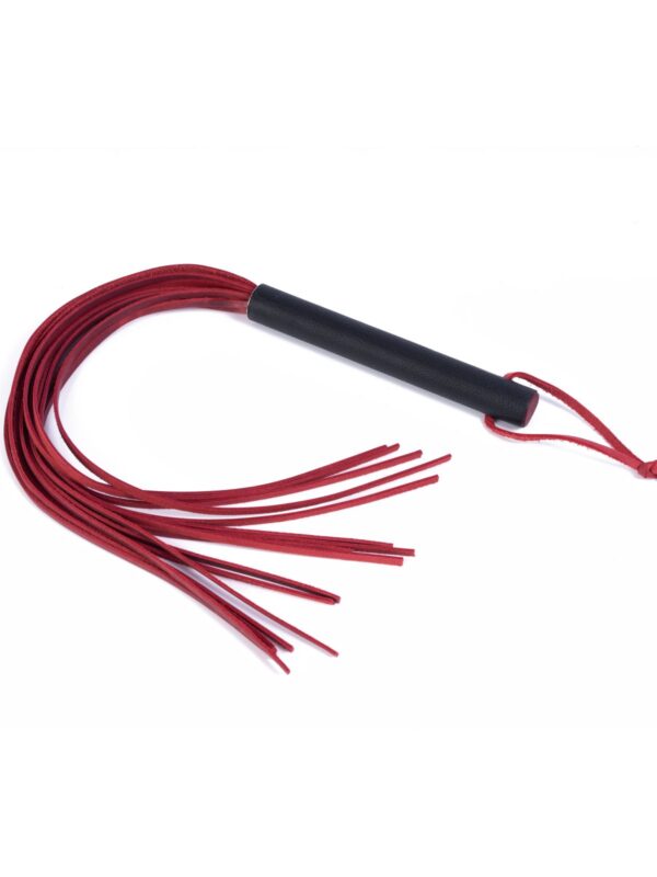 Whips – Crazy Horse piits