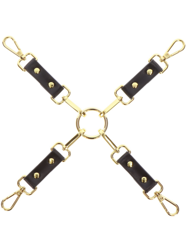 Taboom – Vogue Hogtie rakmed